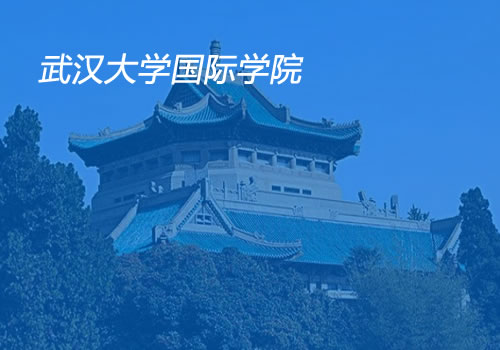 武漢大學國際教育學院-武漢網站設計